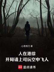 人在港综，开局请上司玩空中飞人