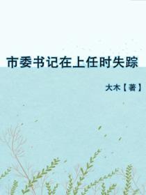 市委书记在上任时失踪