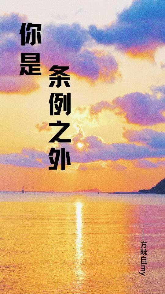 你是条例之外[刑侦]