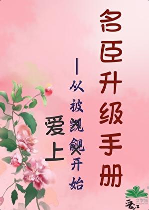 红楼之名臣升级手册