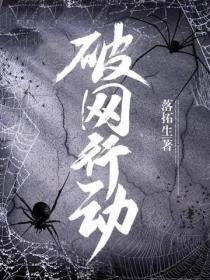 破网行动