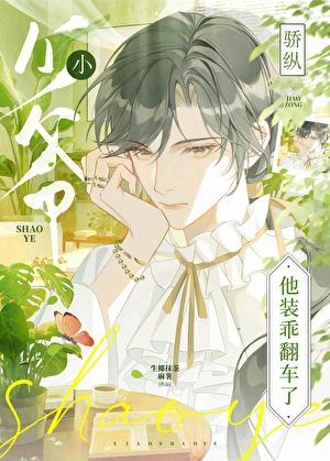 骄纵小少爷他装乖翻车了
