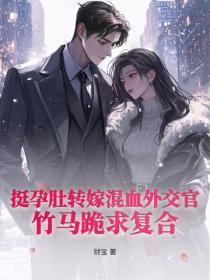 挺孕肚转嫁混血外交官，竹马跪求复合