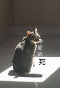爱到死