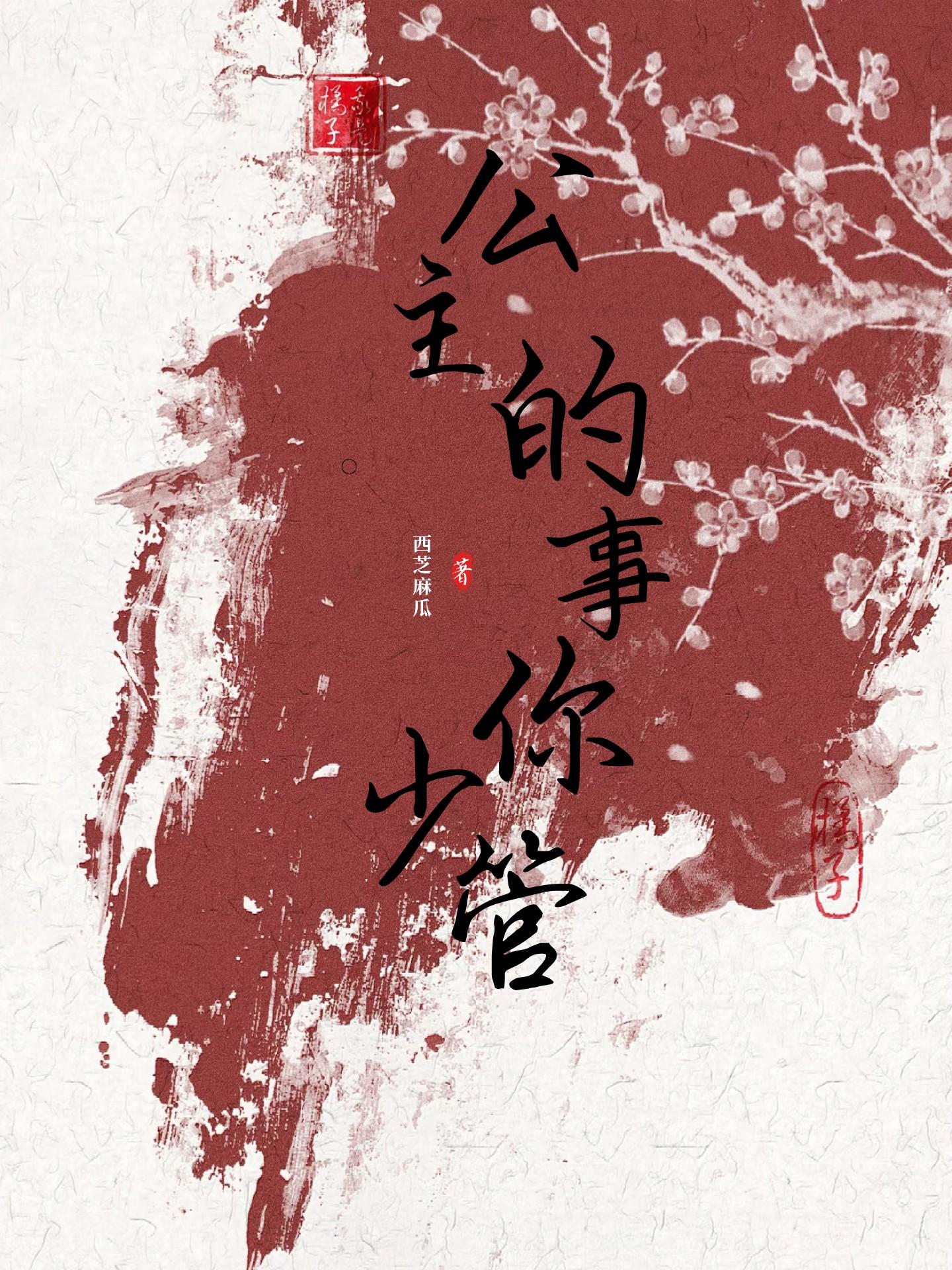 公主的事你少管