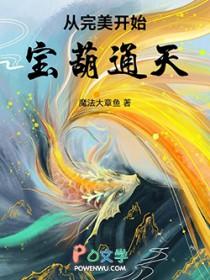 从完美开始：宝葫通天！