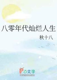 八零年代灿烂人生