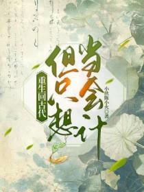 重生回古代但只想当会计