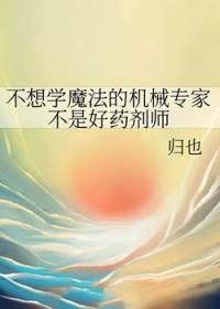 不想学魔法的机械专家不是好药剂师