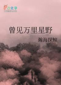 曾见万里星野