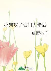 小狗攻了豪门大佬后