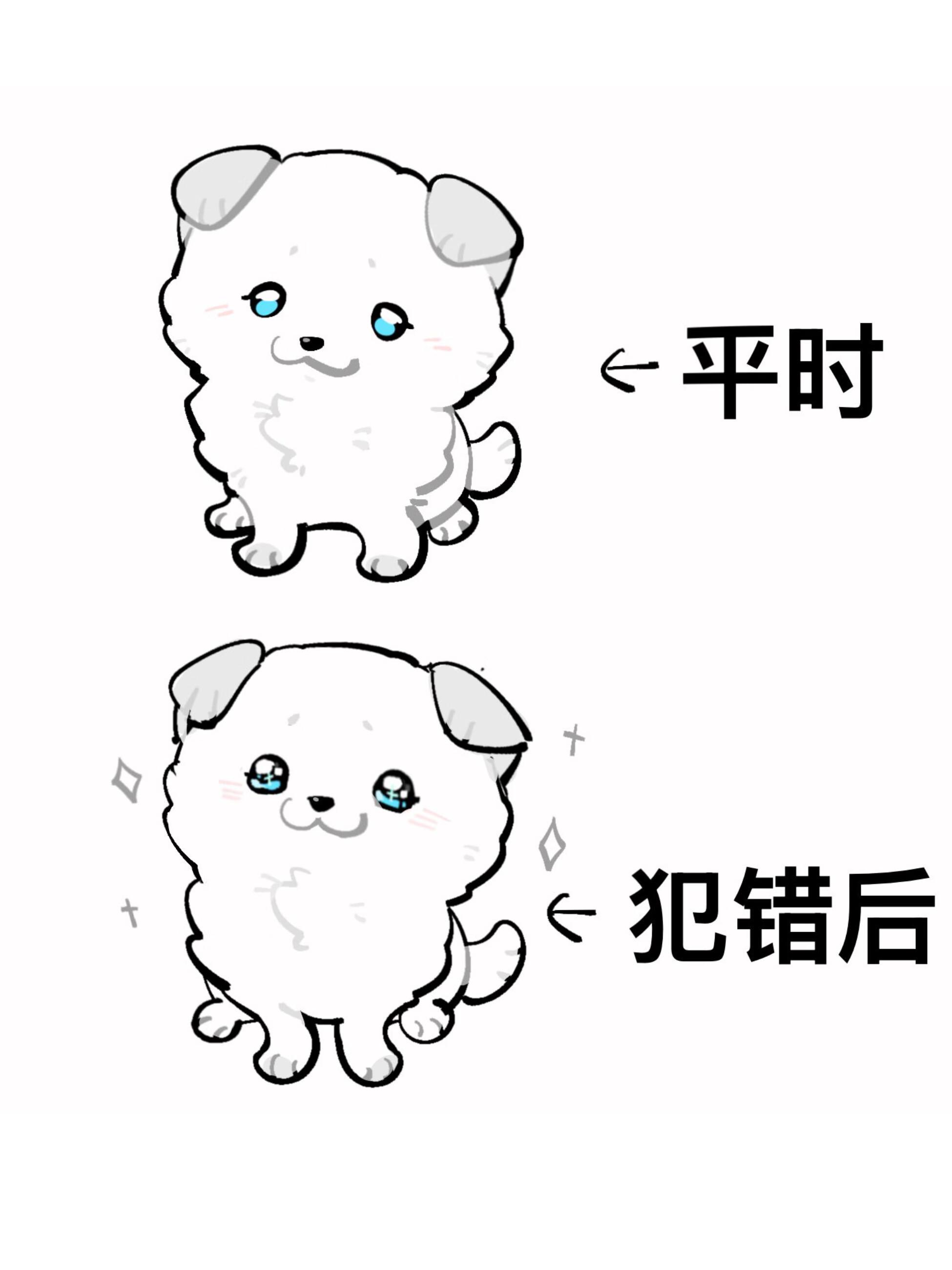 请勿随意拾取比格玩家