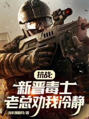 抗战：新晋毒士，老总劝我冷静