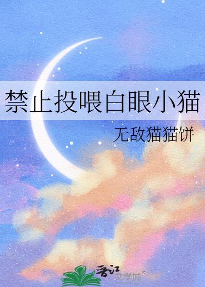 禁止投喂白眼小猫