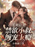 许清雾岑西淮