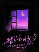 许流年陆简清