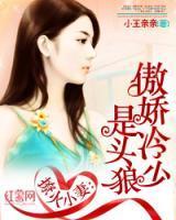 夜擎苍季云诺