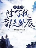 陈宁沧月