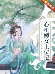 婢女上位记