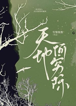 天地何穷际