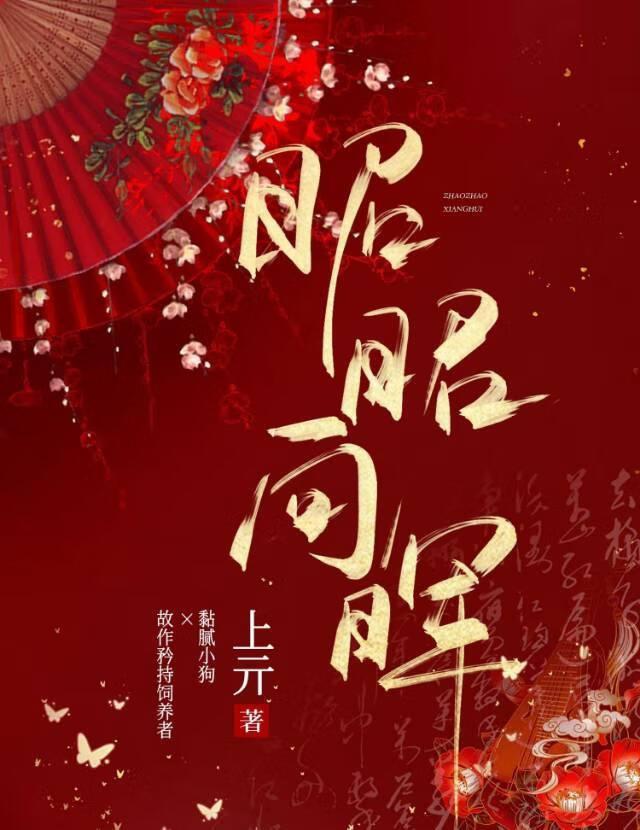 昭昭向晖
