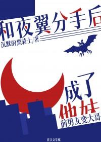 [综英美同人] 和夜翼分手后成了他妹