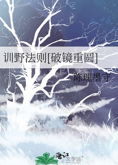 训野法则[破镜重圆]