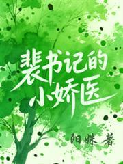 裴书记的小娇医