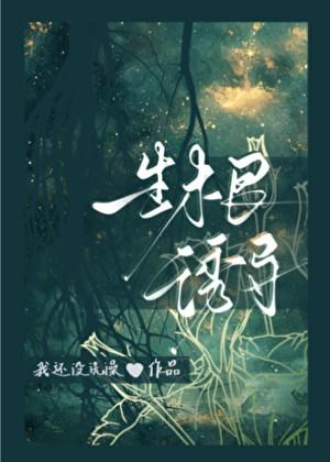 生根诱导