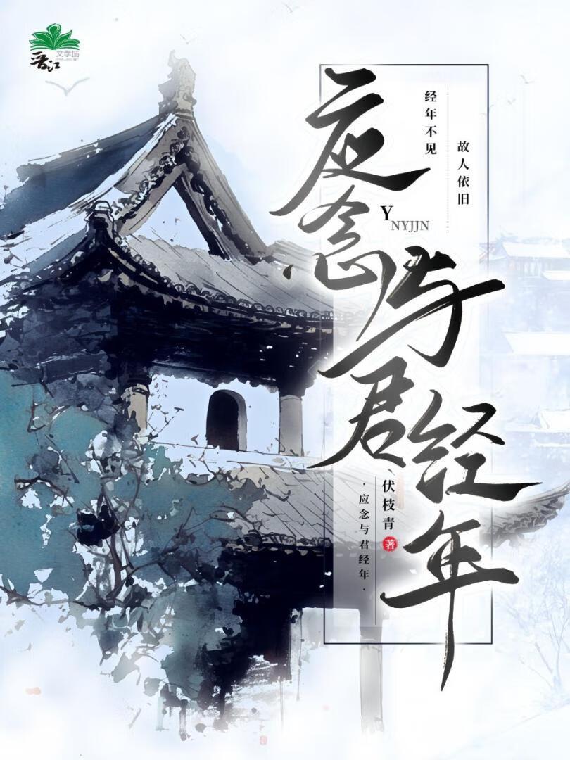 应念与君经年