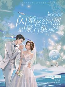 今日宜闪婚