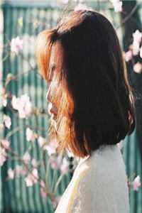 清冷权臣超爱又茶又娇的夫人精校版全本+番外完