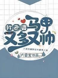 我老婆马甲又多又帅