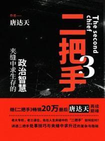 二把手3