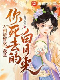 左相请留步，我是你死去的白月光