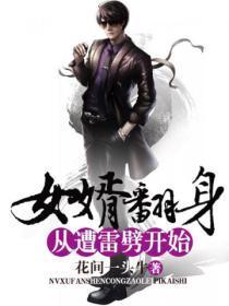 女婿翻身从遭雷噼开始