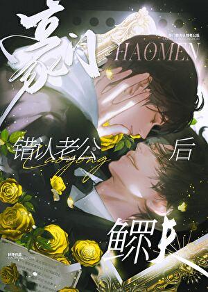 豪门鳏夫认错老公后