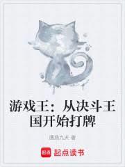 游戏王：从决斗王国开始打牌