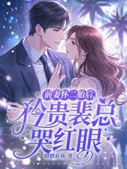 冷婚三年你不爱，二嫁大佬宠上天