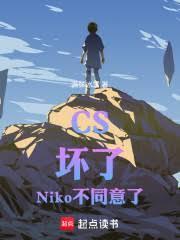 CS：坏了，Niko不同意了！