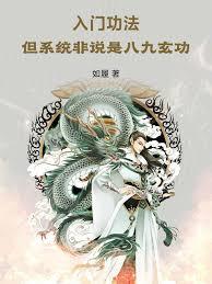 入门功法，但系统非说是八九玄功