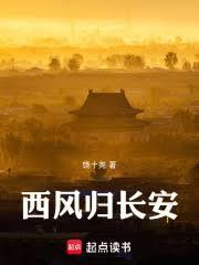 西风归长安