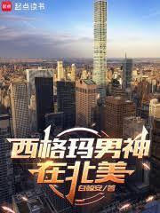 美利坚：孤狼系男神