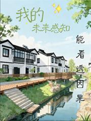 我的未来感知能看透因果