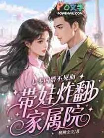 七零闪婚不见面，带娃炸翻家属院