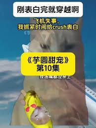 小芋圆10第35本书