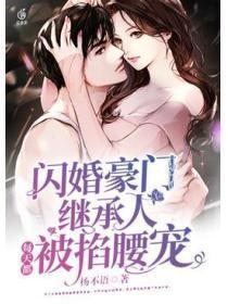 闪婚豪门继承人，每天都被掐腰宠