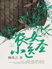 农女小医圣