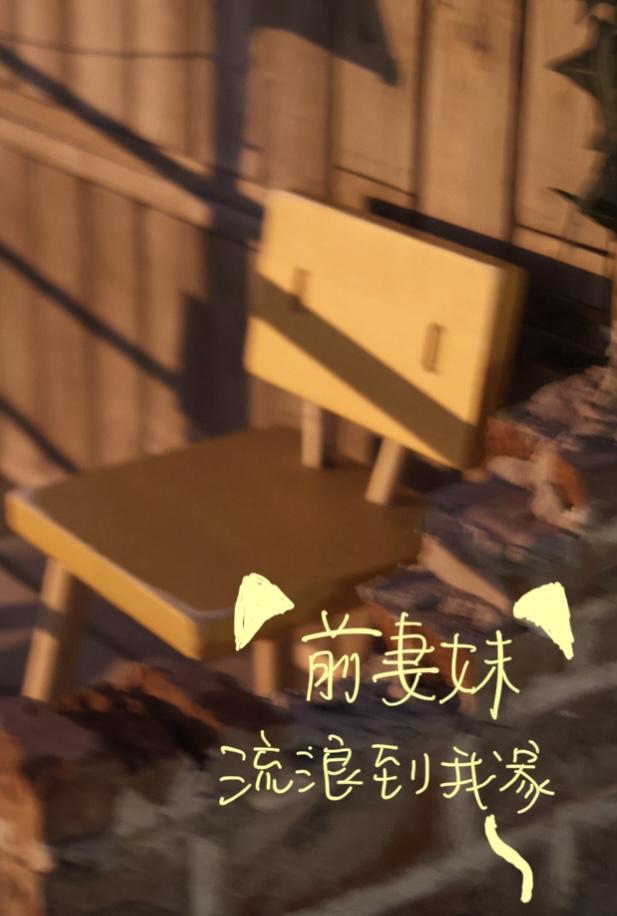 流浪蜗牛亲吻潮湿河流