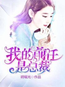 我的前任是总裁